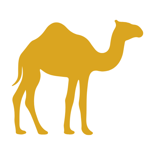 Camel